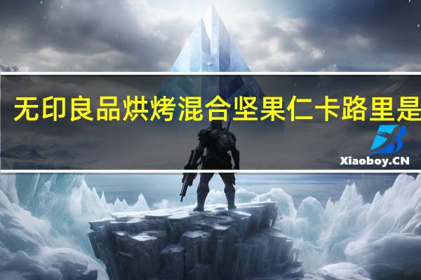 无印良品 烘烤混合坚果仁卡路里是多少