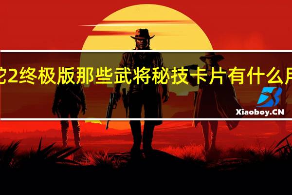 无双大蛇2终极版那些武将秘技卡片有什么用啊 无双大蛇2_终极版
