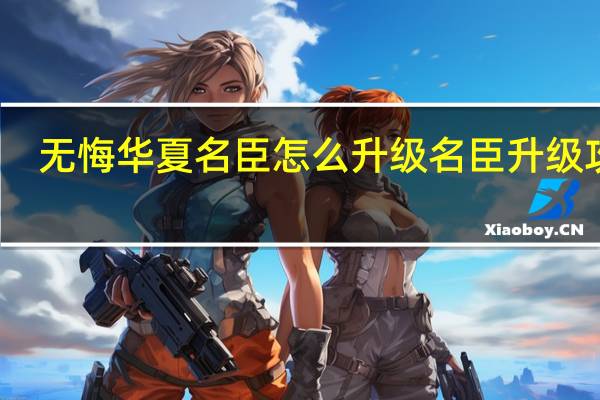 无悔华夏名臣怎么升级 名臣升级攻略