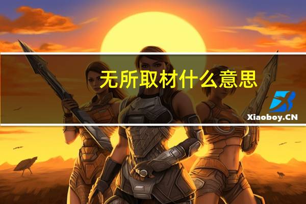 无所取材什么意思