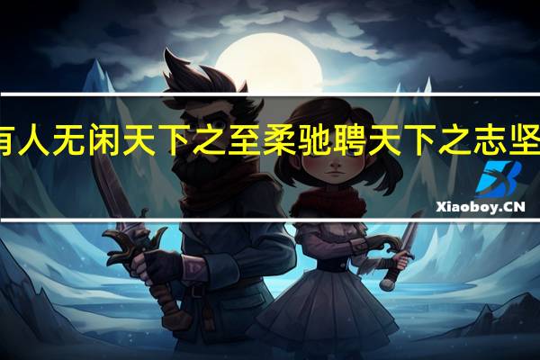 无有人无闲天下之至柔驰聘天下之志坚什么意思