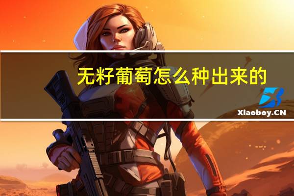 无籽葡萄怎么种出来的