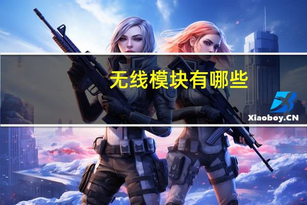 无线模块有哪些（sap系统有哪些模块）