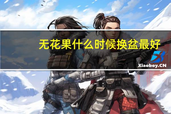 无花果什么时候换盆最好