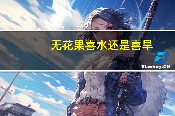 无花果喜水还是喜旱