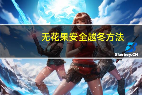 无花果安全越冬方法