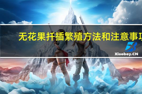 无花果扦插繁殖方法和注意事项