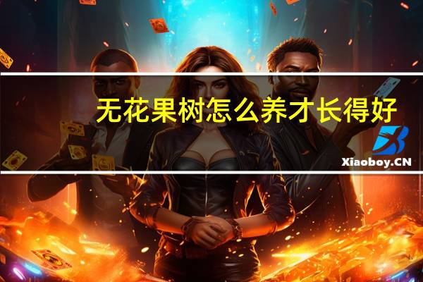 无花果树怎么养才长得好