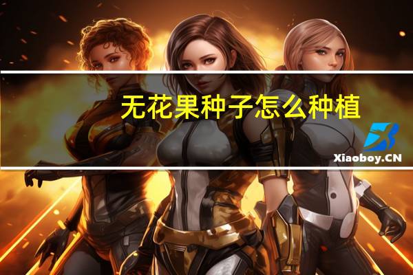 无花果种子怎么种植