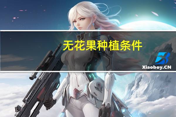 无花果种植条件