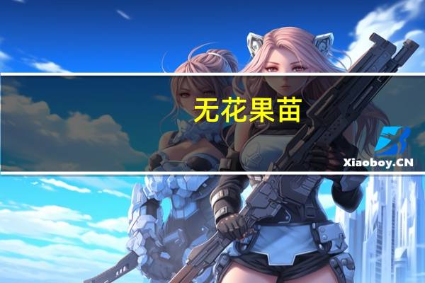 无花果苗（无花果树苗）