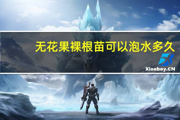 无花果裸根苗可以泡水多久