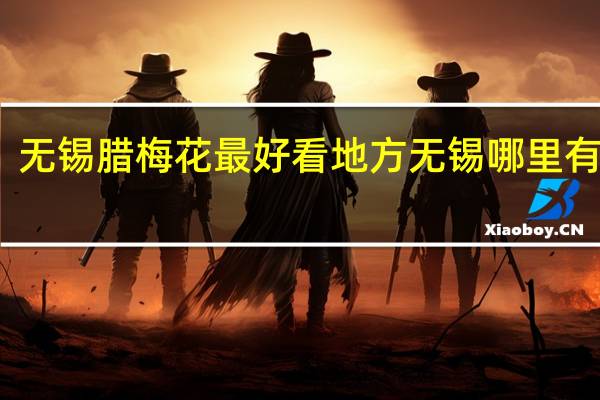 无锡腊梅花最好看地方 无锡哪里有腊梅