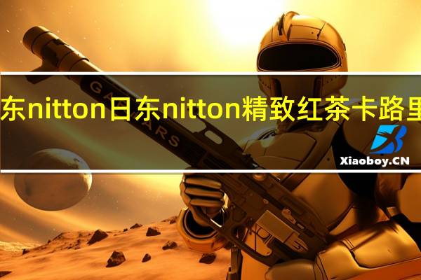 日东nitton 日东 nitton 精致红茶卡路里是多少
