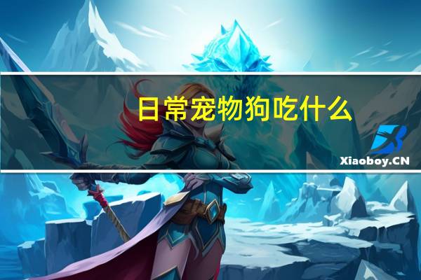 日常宠物狗吃什么