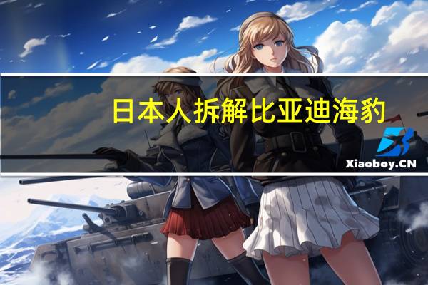 日本人拆解比亚迪海豹：12V小电瓶不用铅蓄电池 终身免更换