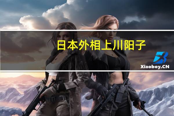 日本外相上川阳子：向以色列外交部长传达了在加沙冲突中需要人道主义停火的必要性
