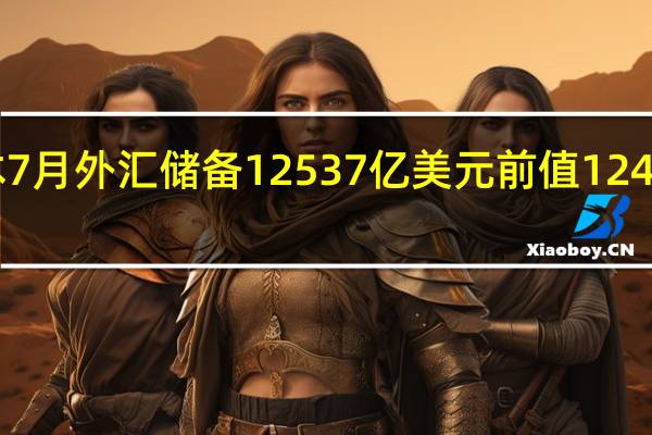 日本7月外汇储备 12537亿美元前值12472亿美元