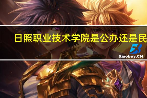 日照职业技术学院是公办还是民办