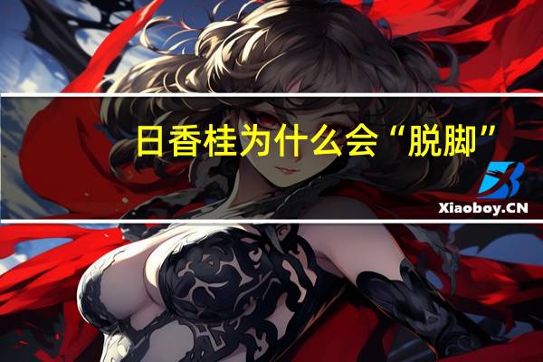 日香桂为什么会“脱脚”?