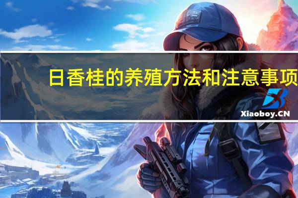 日香桂的养殖方法和注意事项