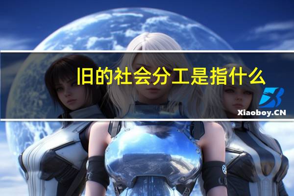 旧的社会分工是指什么