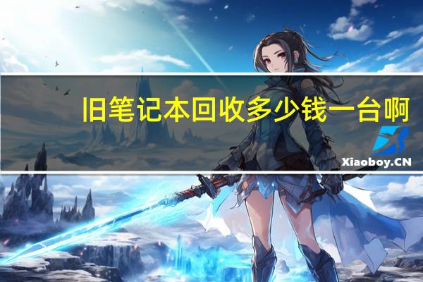 旧笔记本回收多少钱一台啊