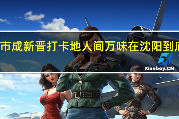 早市夜市成新晋打卡地人间万味在沈阳 到底什么情况嘞