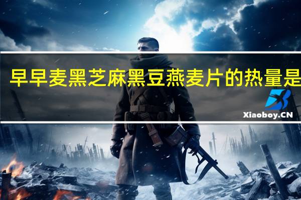早早麦 黑芝麻黑豆燕麦片的热量是多少