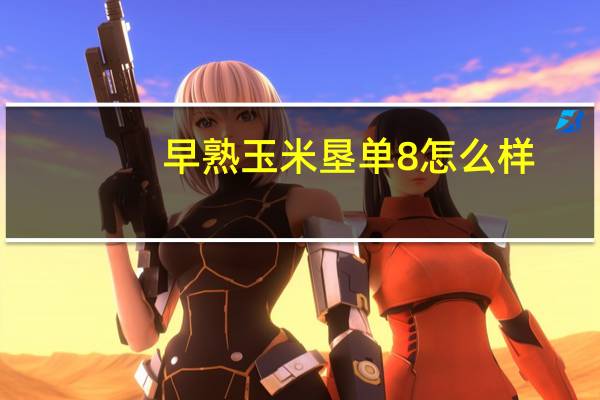 早熟玉米垦单8怎么样