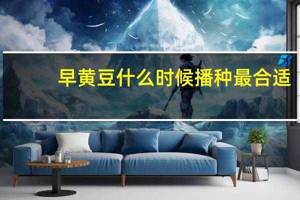 早黄豆什么时候播种最合适