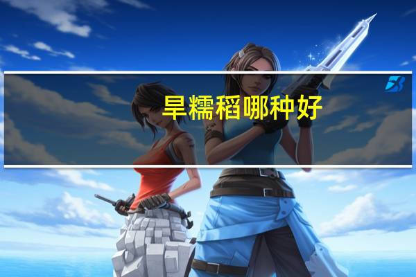 旱糯稻哪种好