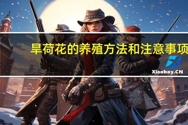 旱荷花的养殖方法和注意事项