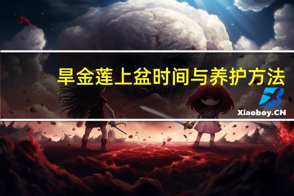 旱金莲上盆时间与养护方法