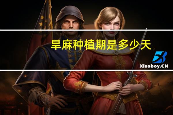 旱麻种植期是多少天