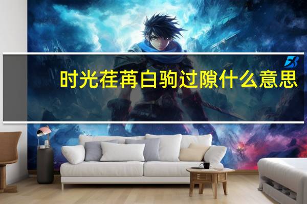 时光荏苒白驹过隙什么意思