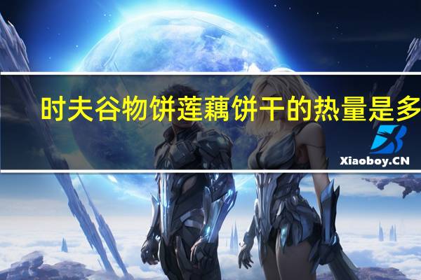 时夫 谷物饼莲藕饼干的热量是多少