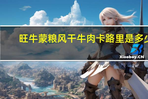 旺牛 蒙粮风干牛肉卡路里是多少