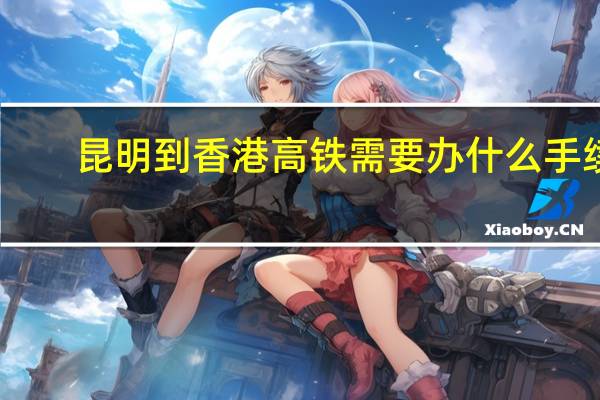 昆明到香港高铁需要办什么手续