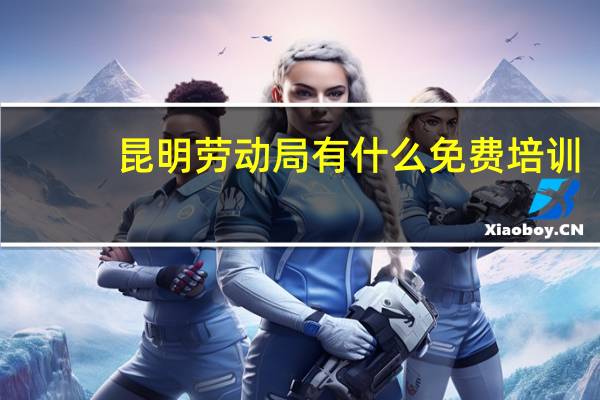 昆明劳动局有什么免费培训