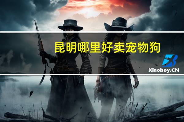 昆明哪里好卖宠物狗