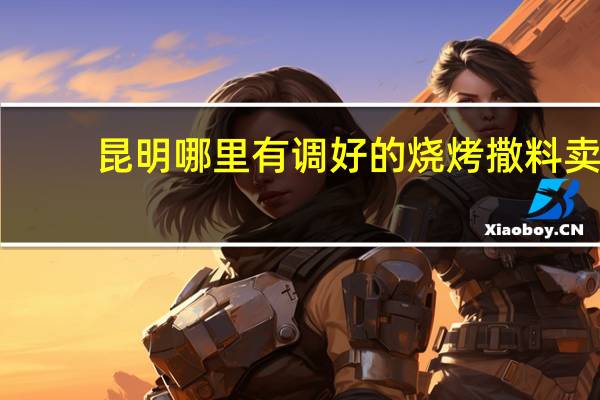 昆明哪里有调好的烧烤撒料卖