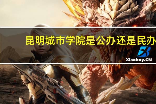 昆明城市学院是公办还是民办