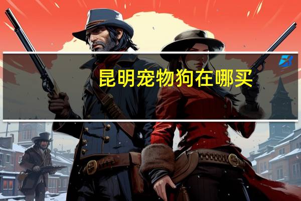 昆明宠物狗在哪买