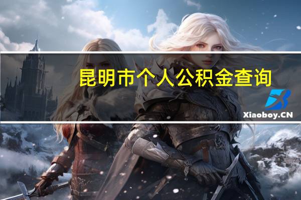 昆明市个人公积金查询（昆明公积金查询个人账户查询）