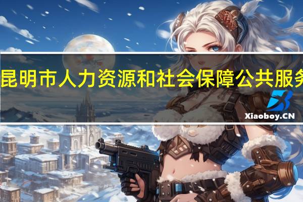 昆明市人力资源和社会保障公共服务网厅（武汉市社会保障服务网）