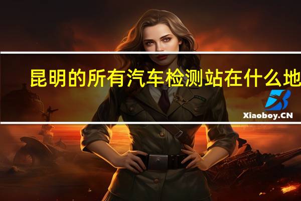 昆明的所有汽车检测站在什么地方