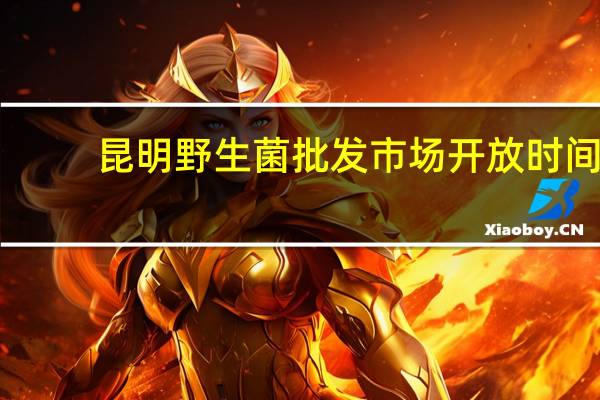 昆明野生菌批发市场开放时间