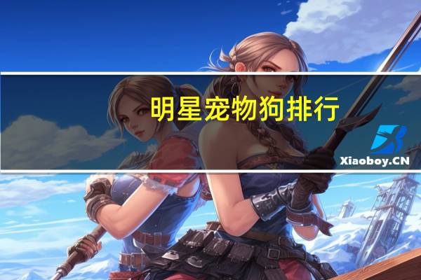 明星宠物狗排行