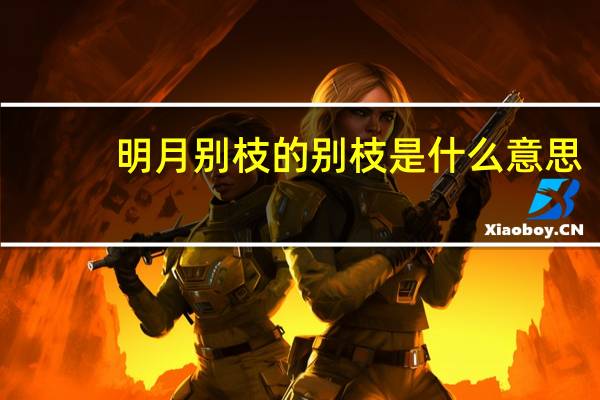 明月别枝的别枝是什么意思